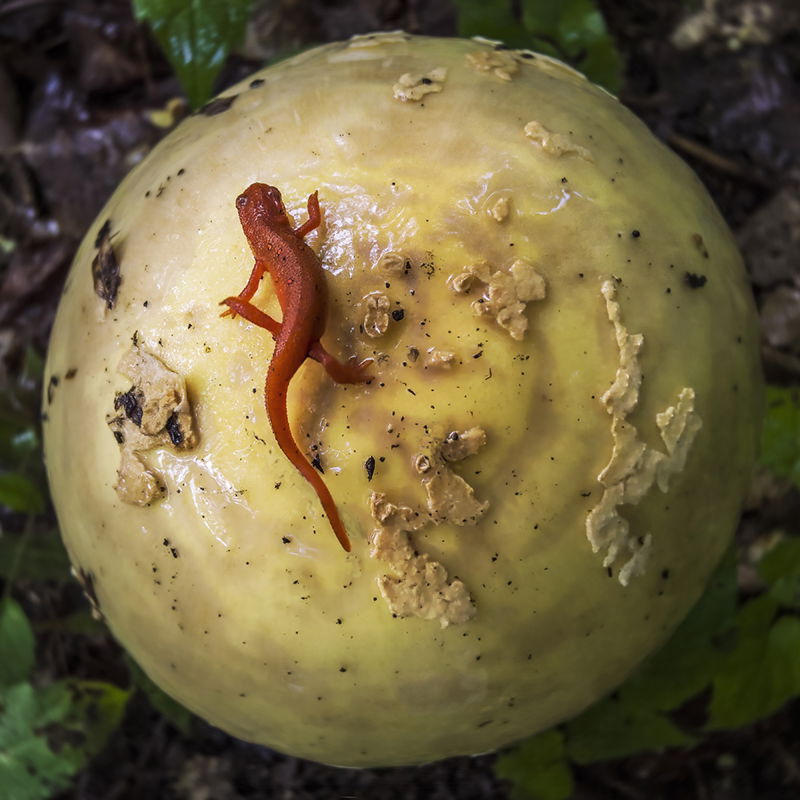 Photography project by Jerry Lofaro