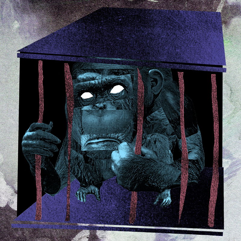 Illustration project by Casey Babb