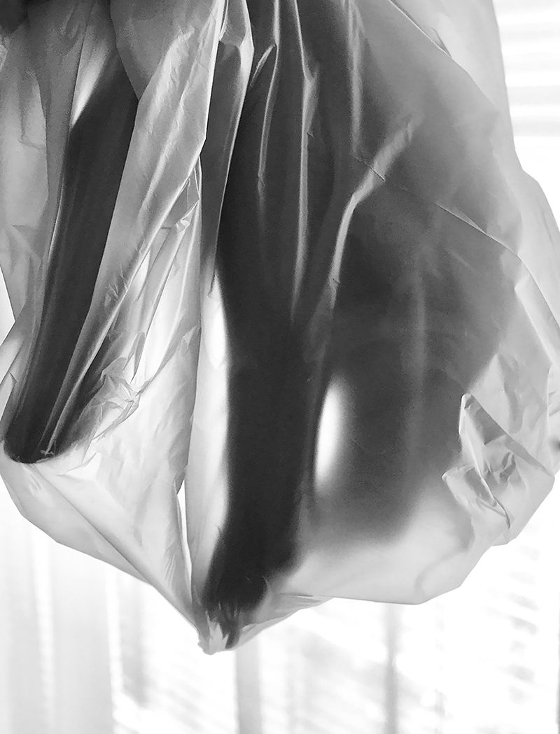 Fine Art project by Thomas Notarangelo