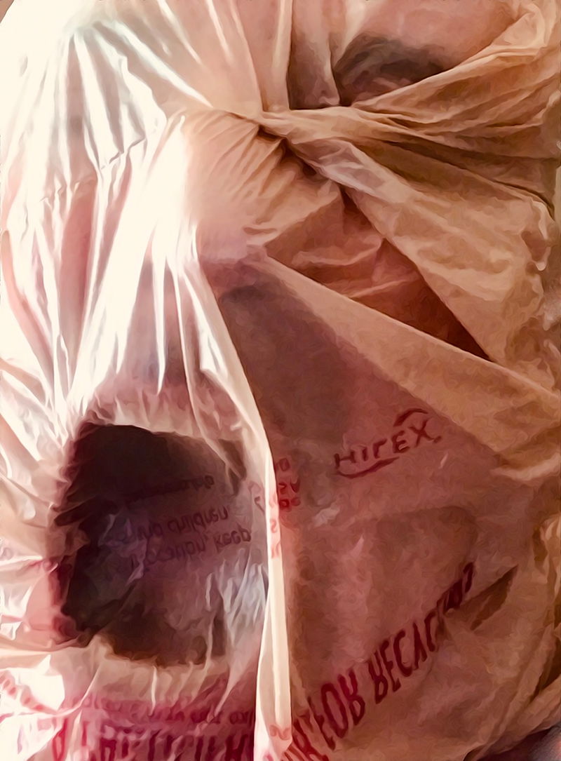 Fine Art project by Thomas Notarangelo