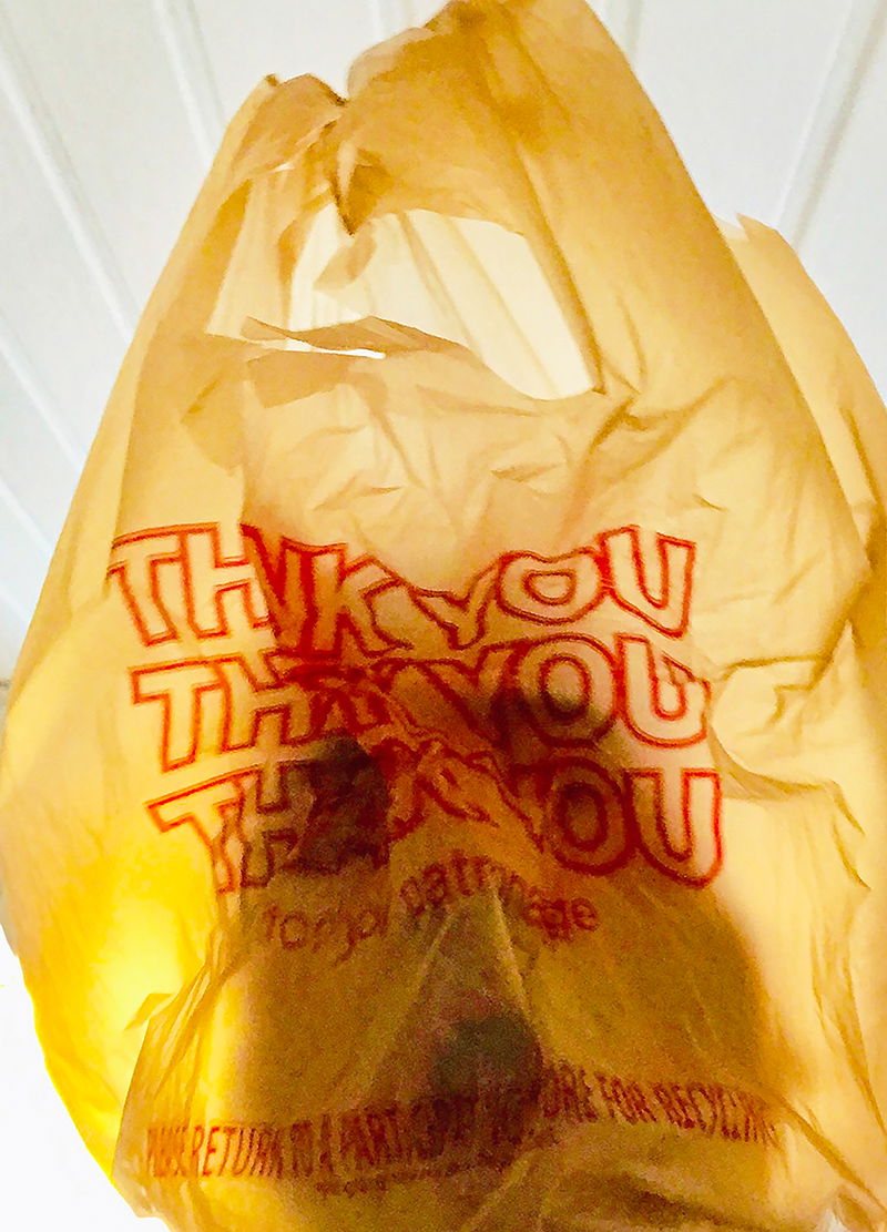 Fine Art project by Thomas Notarangelo