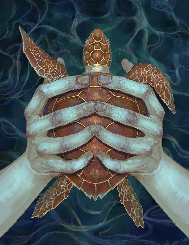 Illustration project by Xinyi Cao