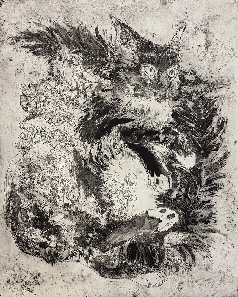 Fine Art project by Yang Peng