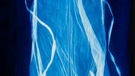 Sarah Cusimano Miles