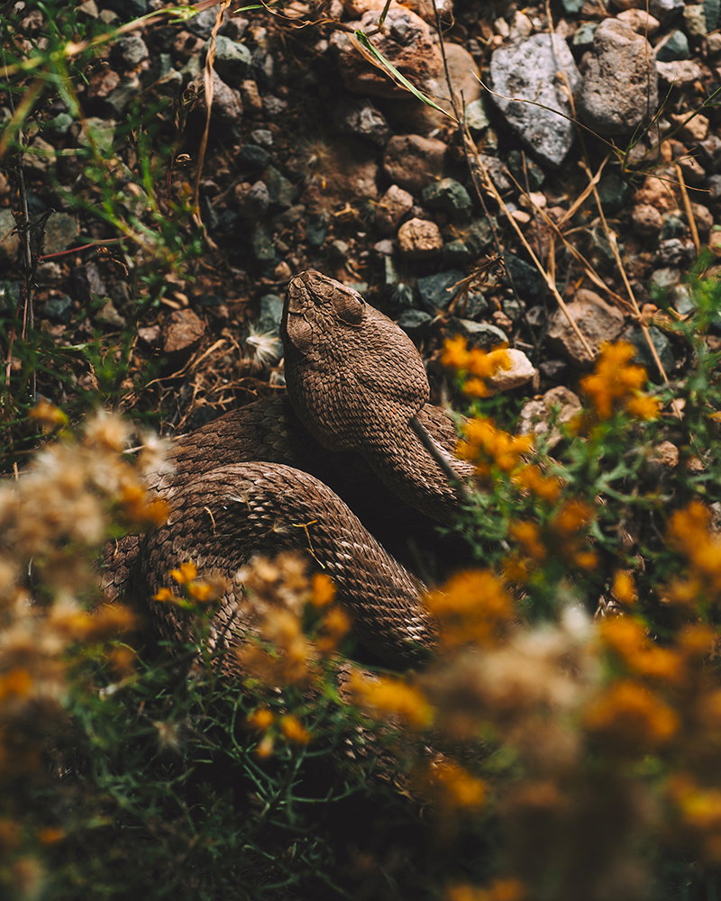 Photography project by Robert Lewis