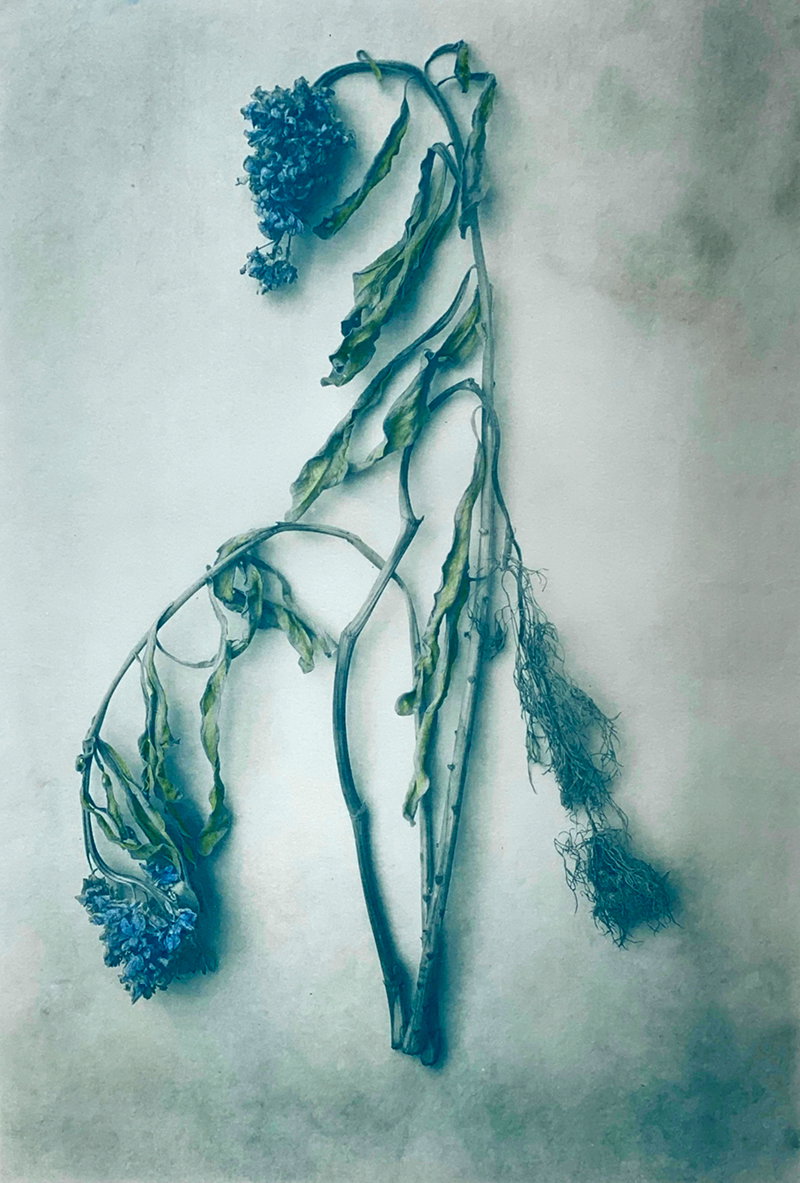 Photography project by Diana Bloomfield