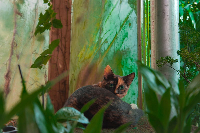 Photography project by Machaela McGuire