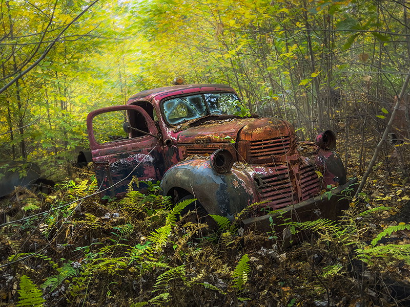 Photography project by Jerry Lofaro
