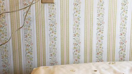 Jillian Van Volkenburgh