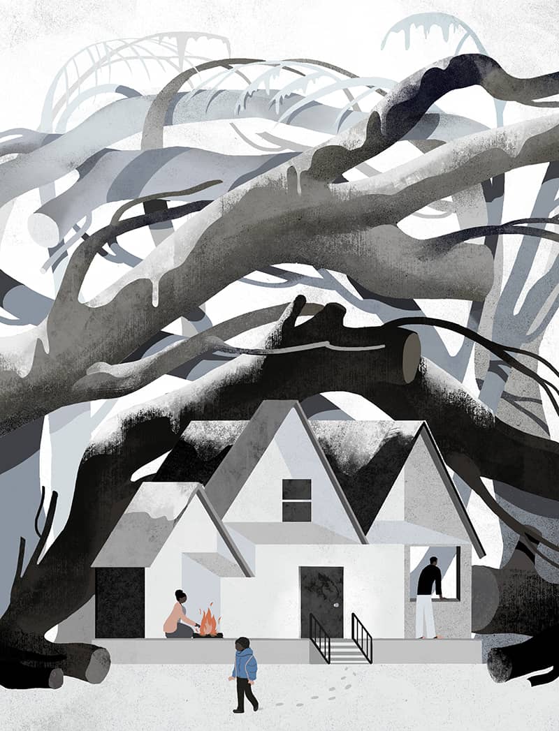 Illustration project by Lia Liao 