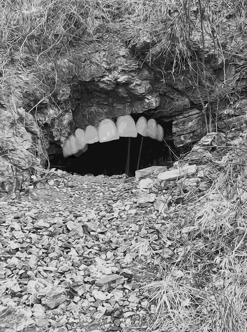 Fine Art project by Thomas Notarangelo 