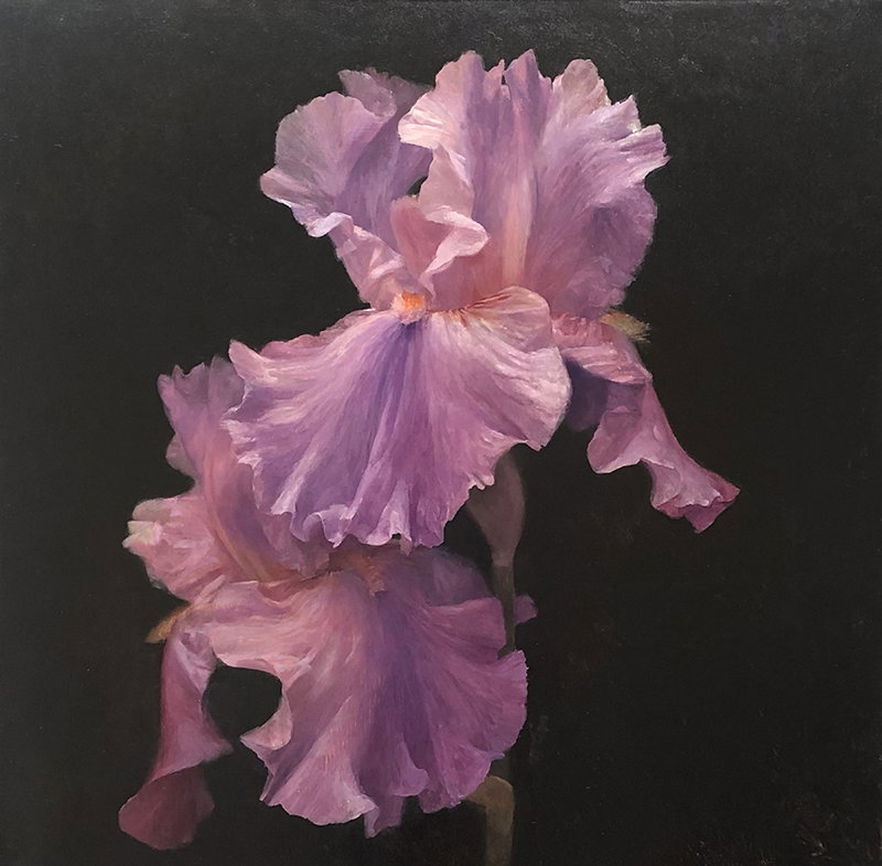 Fine Art project by Mark Van Buskirk 