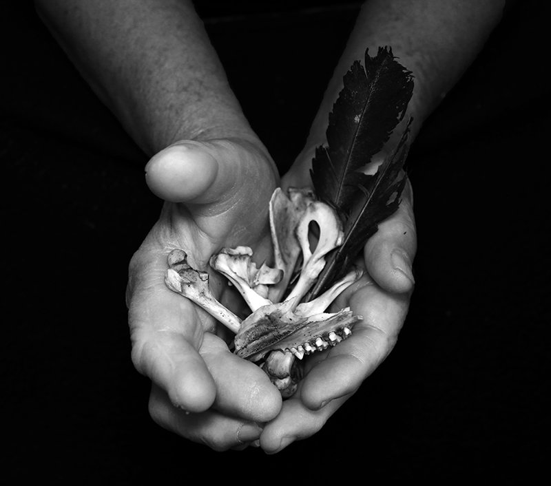 Photography project by Mackenlee Martin 