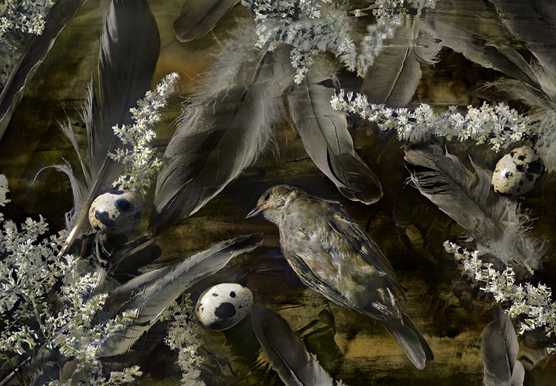 Fine Art project by Susan Richman 