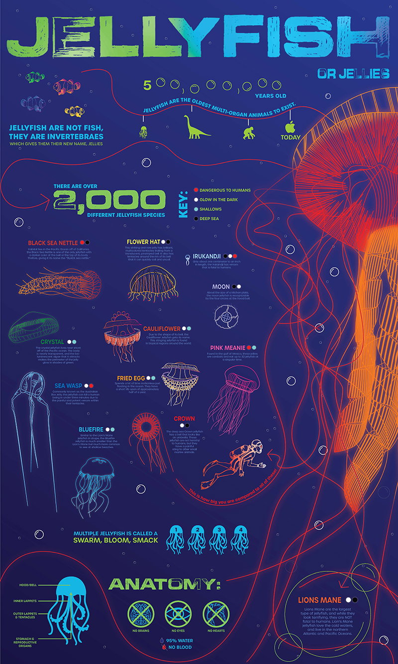 Graphic Design project by Ellen Brown