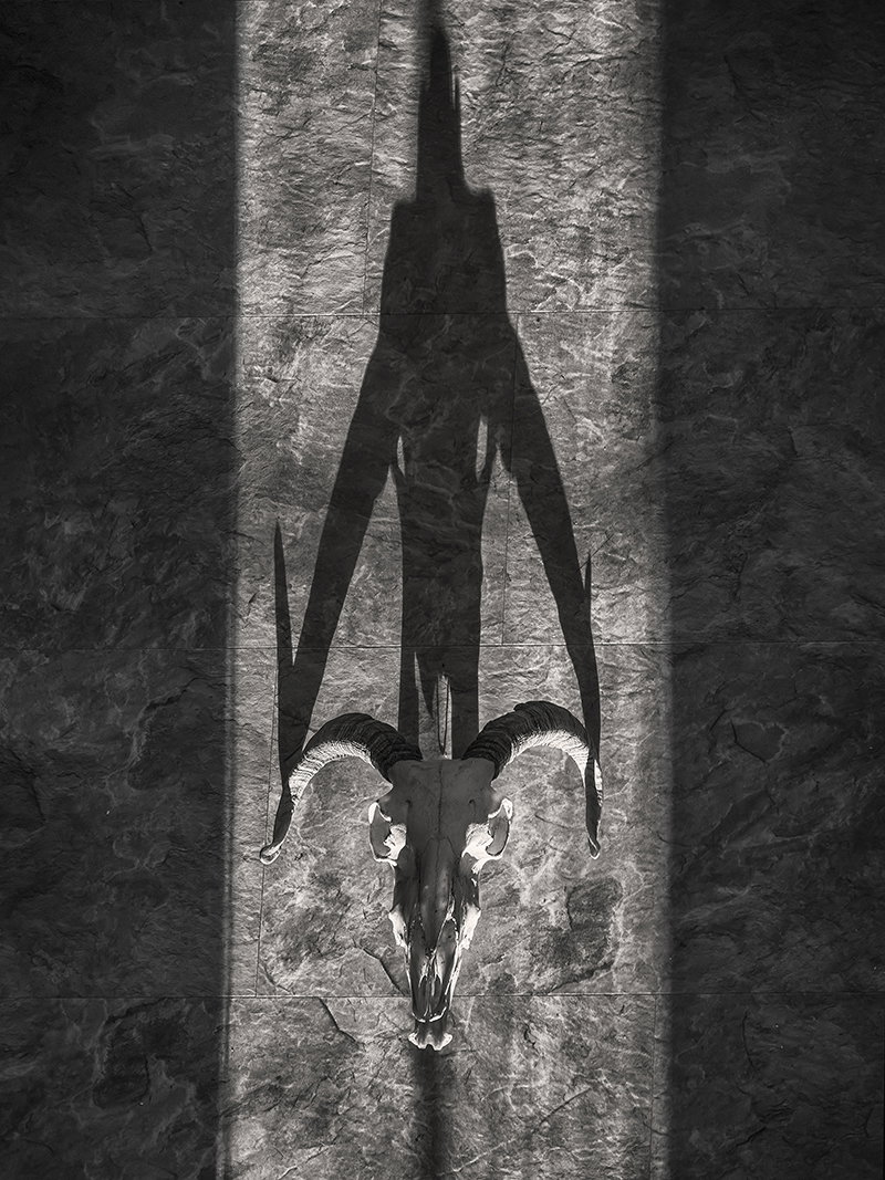 Photography project by Jerry Lofaro 