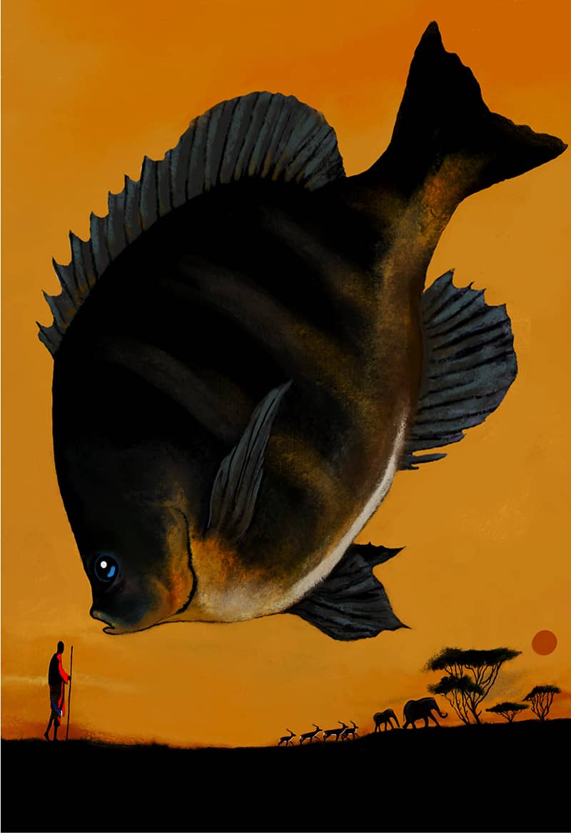 Illustration project by David Gwaltney