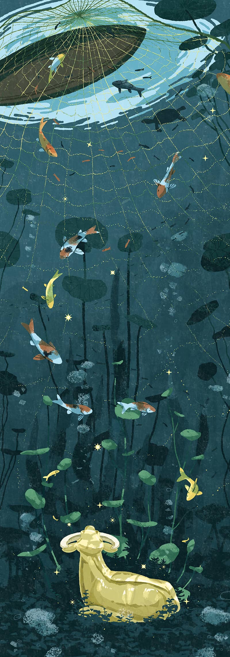 Illustration project by Zhiying Chen