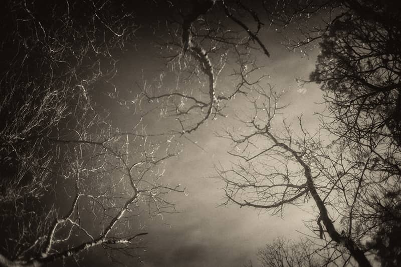 Photography project by Karin Whittemore