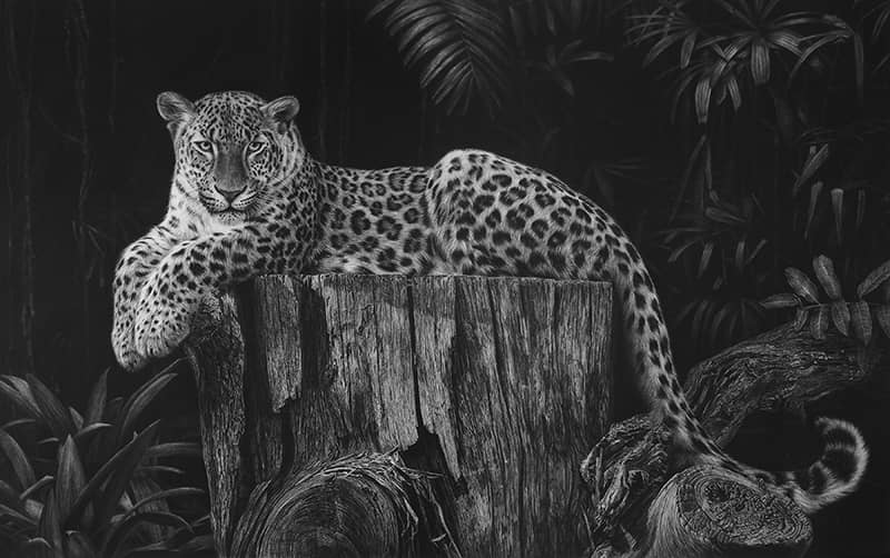 Fine Art project by Monica Lee