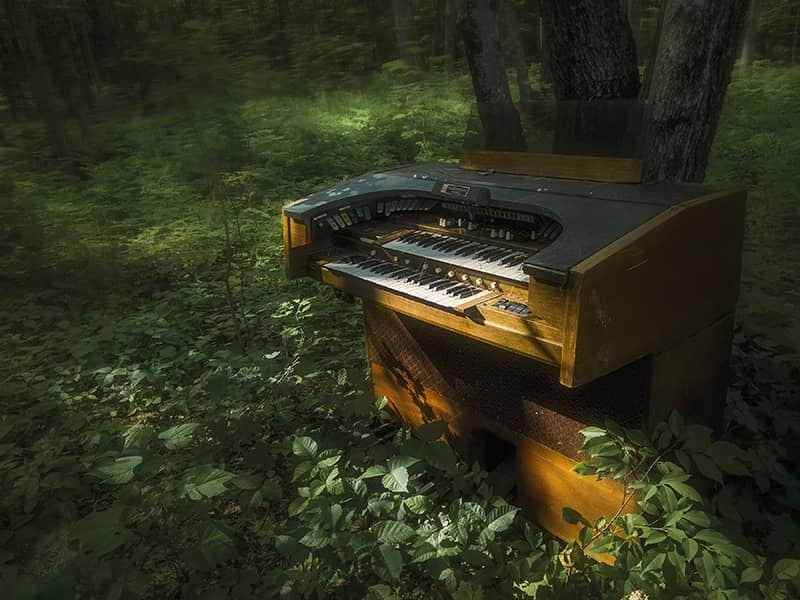 Photography project by Jerry Lofaro