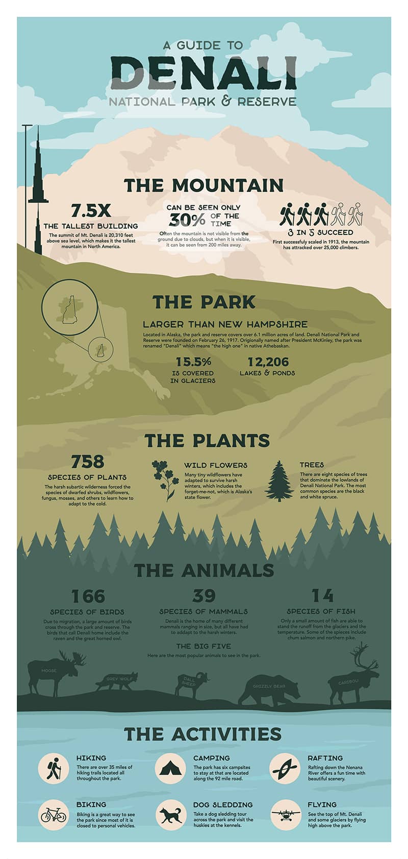 Graphic Design project by Jillian Morrison