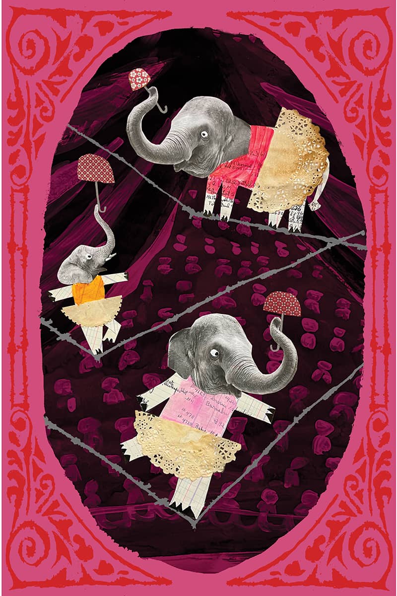 Illustration project by Marci Senders