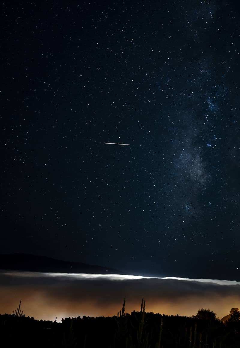 Fine Art project by Ray Koh