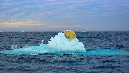 Irene Arniet/ZUMA Press