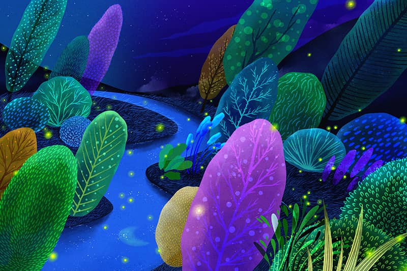 Illustration project by Phyllis Zi-xuan Zhao 