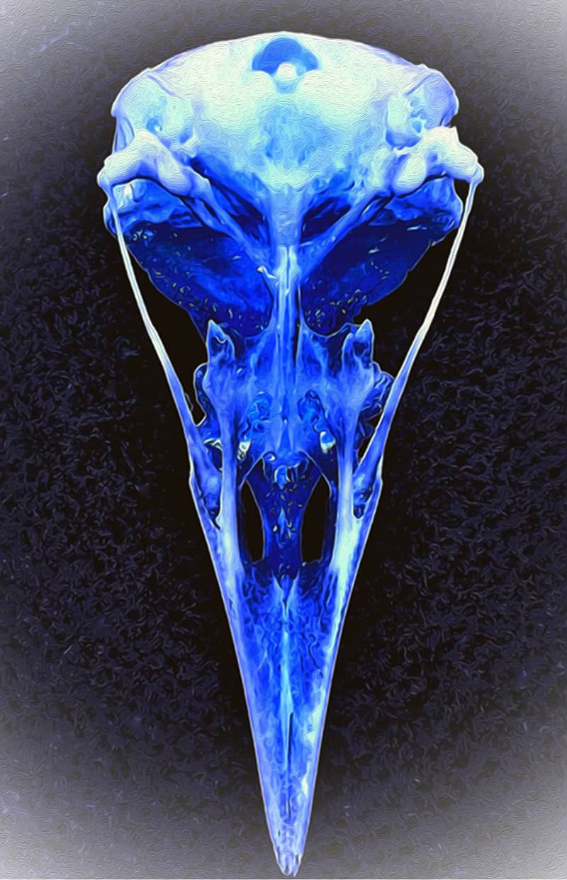 Fine Art project by Thomas Notarangelo 