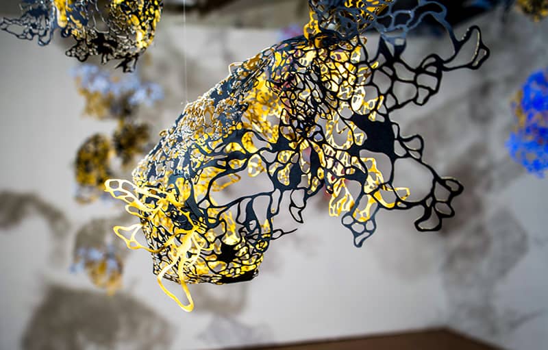 Fine Art project by Delaney Shin 