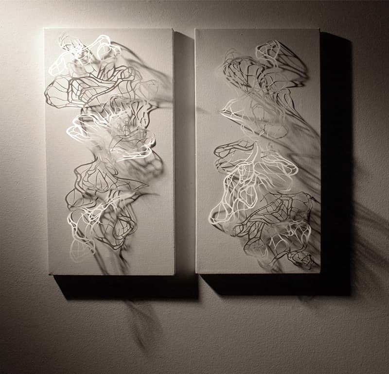 Fine Art project by Delaney Shin 