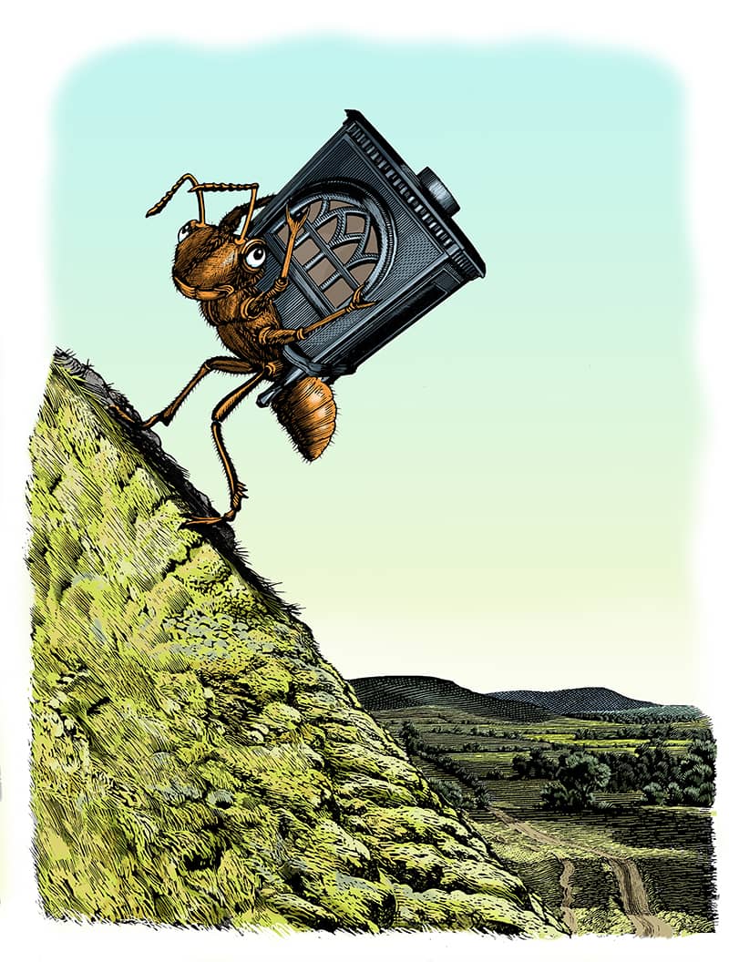 Illustration project by Jerry Hoare 