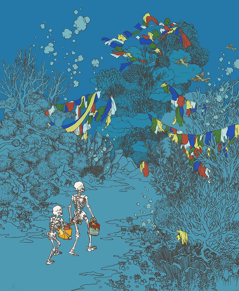Illustration project by Scarlet Ding 