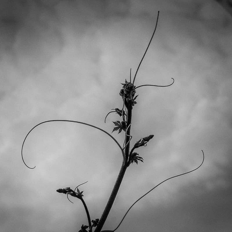 Photography project by Jim Newberry 