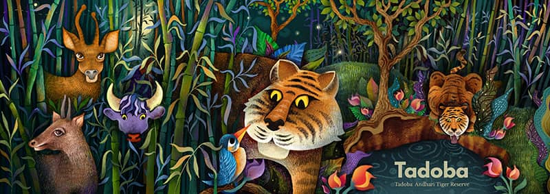 Illustration project by Anushua Sinha