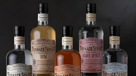  CF Napa Brand Design