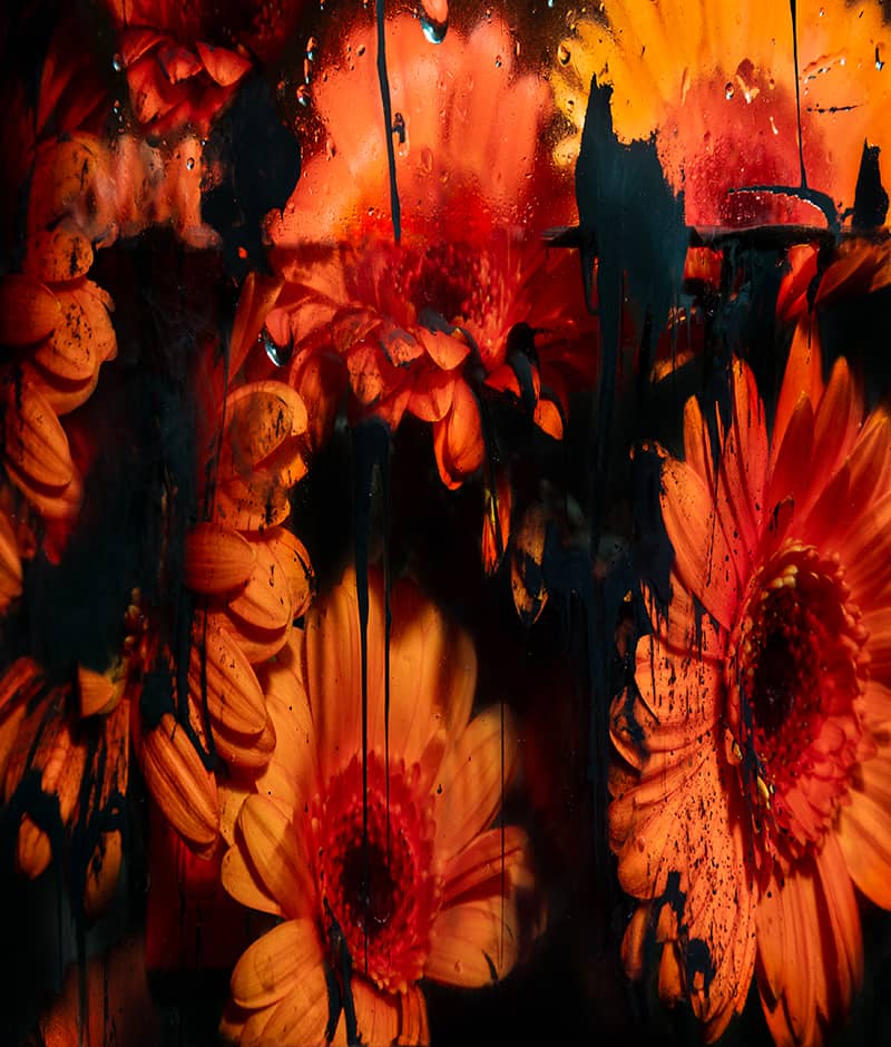Fine Art project by John Rees
