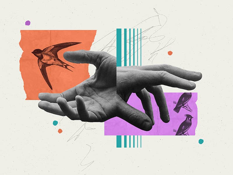 Illustration project by Conner Gayda