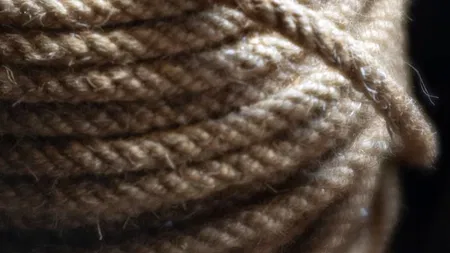 Karin Forde Whittemore