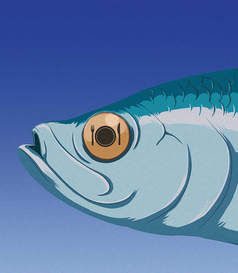 Illustration project by Keith Alexander Lee