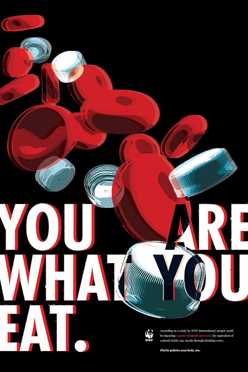 Graphic Design project by Colette Chidalek