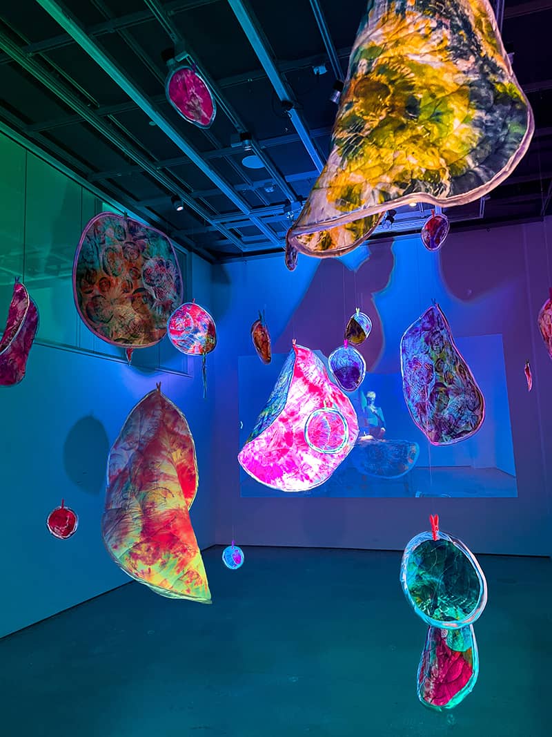 Fine Art project by Leo Wang