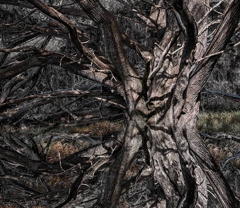 Photography project by Jon Sharer