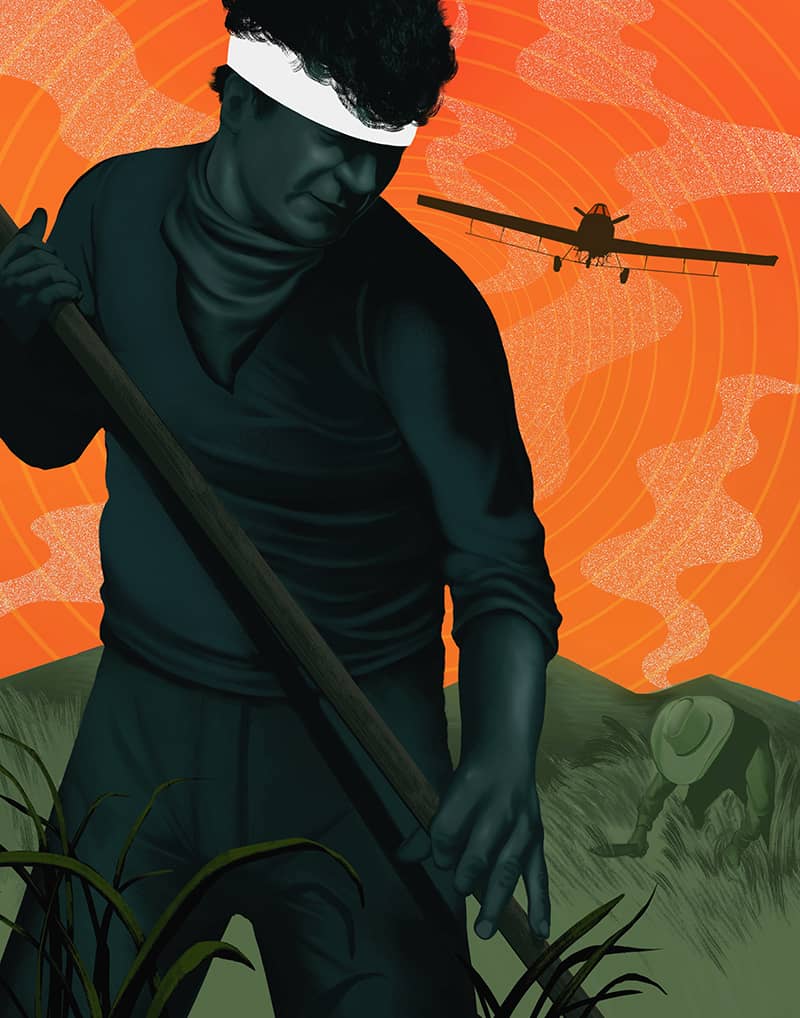 Illustration project by Jay Torres