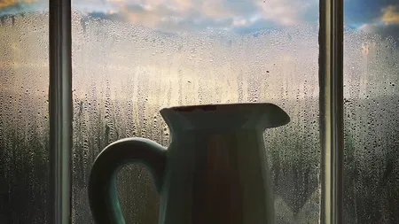 Karin Forde Whittemore