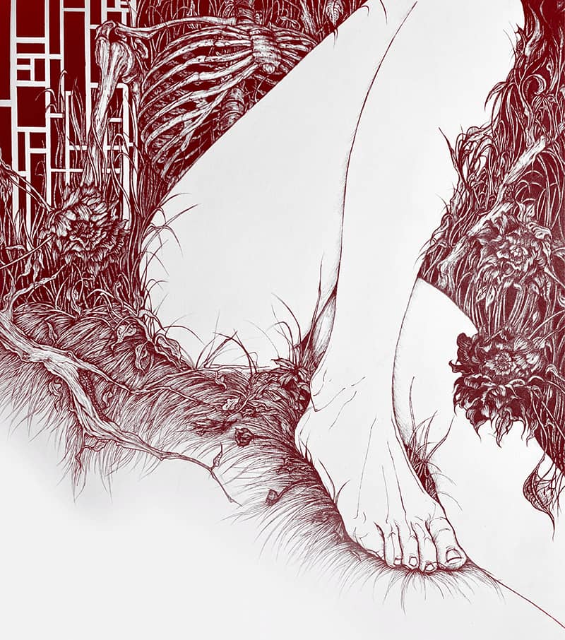 Illustration project by Daisy Wen
