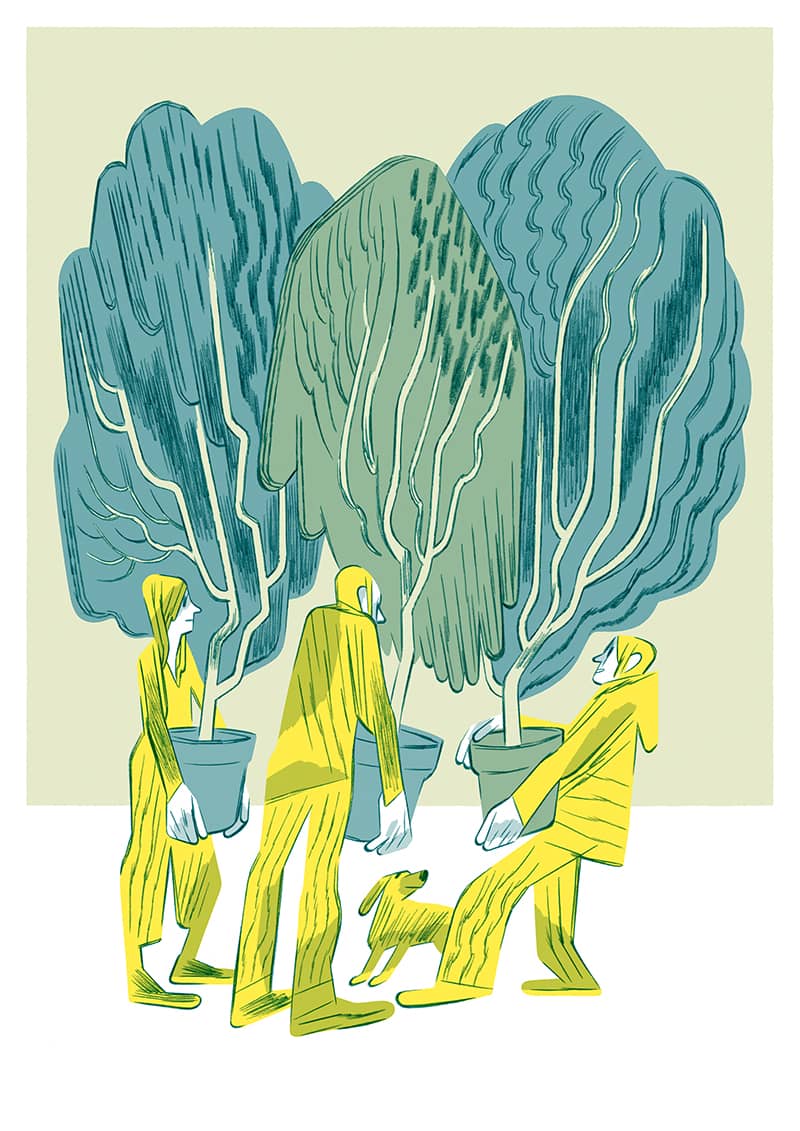 Illustration project by Pedro Burgos