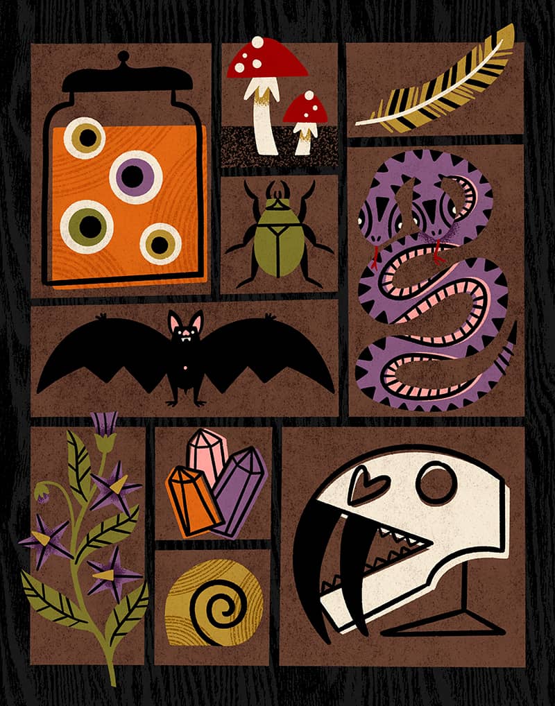 Illustration project by Katey Stafford